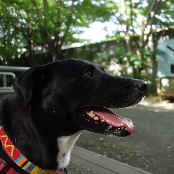 9ba4eb29 e554 4e59 b55b ab1612a3c0f9 1591662553276