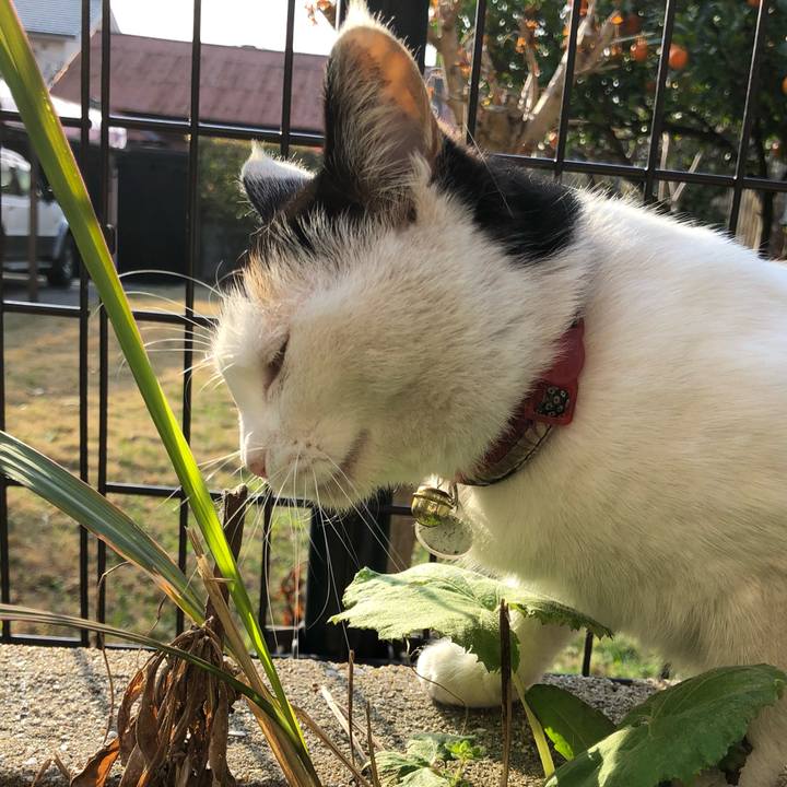 9ba4eed9 e245 4216 abba 0e56b384adae 1615077088286