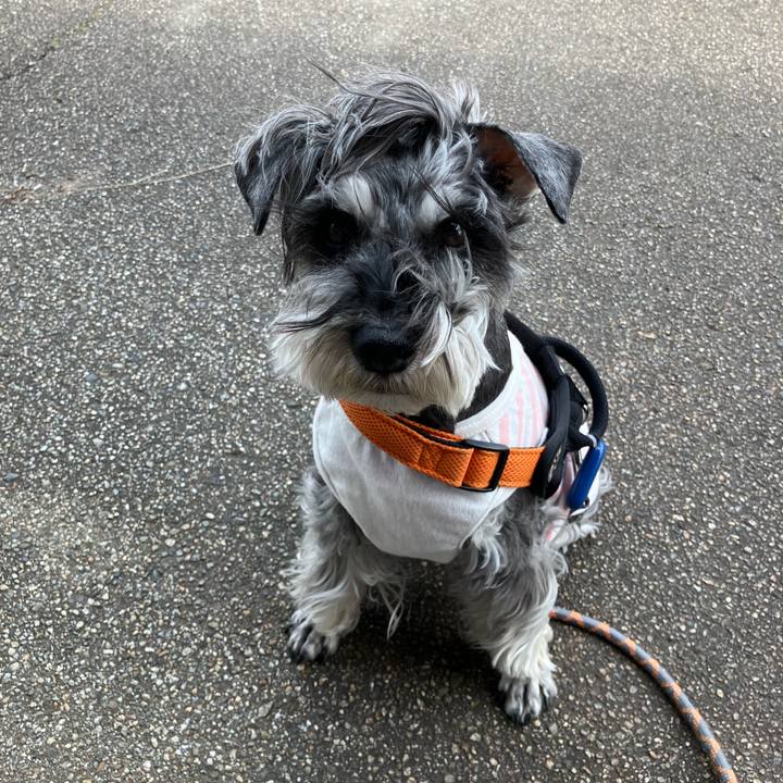 9ba4fba0 8055 4321 9002 9544bce705fb 1745986776707