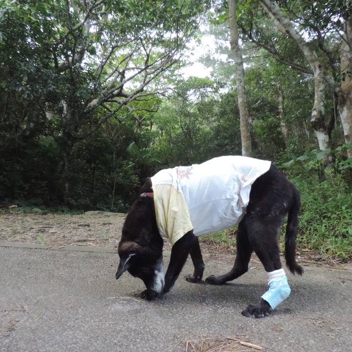 9ba5032b cba0 4319 9af6 55dada7c9996 1514263528473