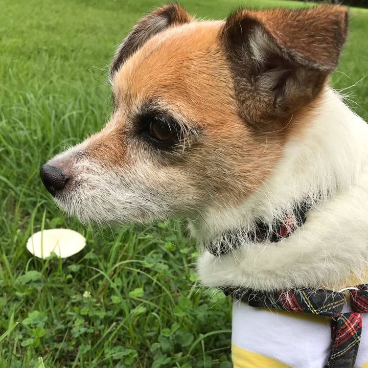 9ba50cc8 64d4 40d2 83d9 5e48c8d08fa3 1562659573661