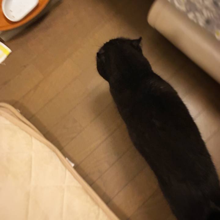 9ba52c68 9d5f 4140 a6cf 05edb37ea094 1509893678757