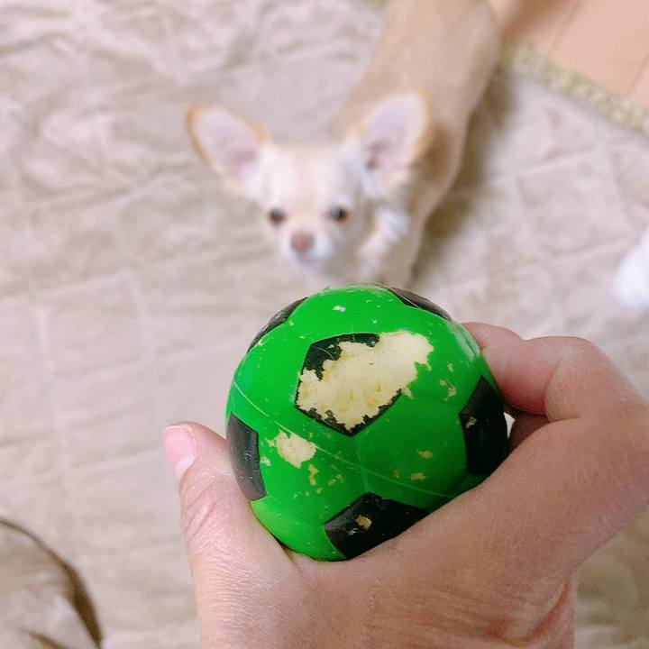 9ba5491c 2362 4cc7 97b0 03614487863b 1611453881579