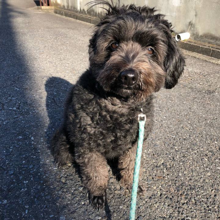 9ba55ca1 64c7 44a6 b2ae c2da51330f6a 1515026151329