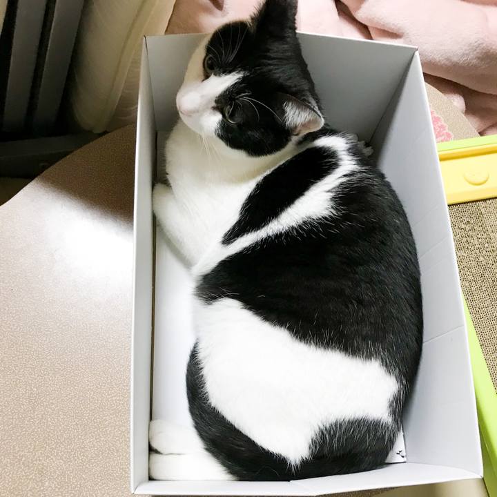 9ba56de3 6d56 4d5e 8213 08985ca91b4f 1517060871407