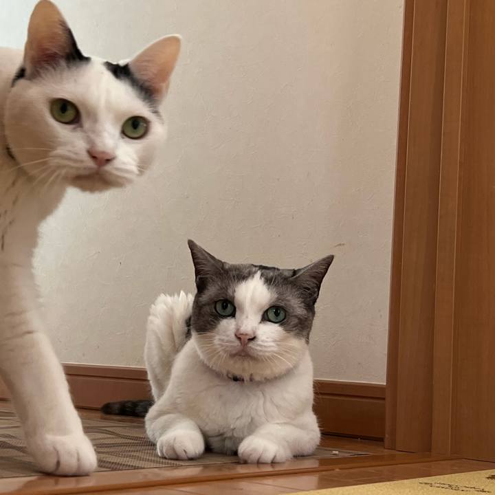 9ba580ff 79d8 4190 8533 be8d90d1702b 1692661719083