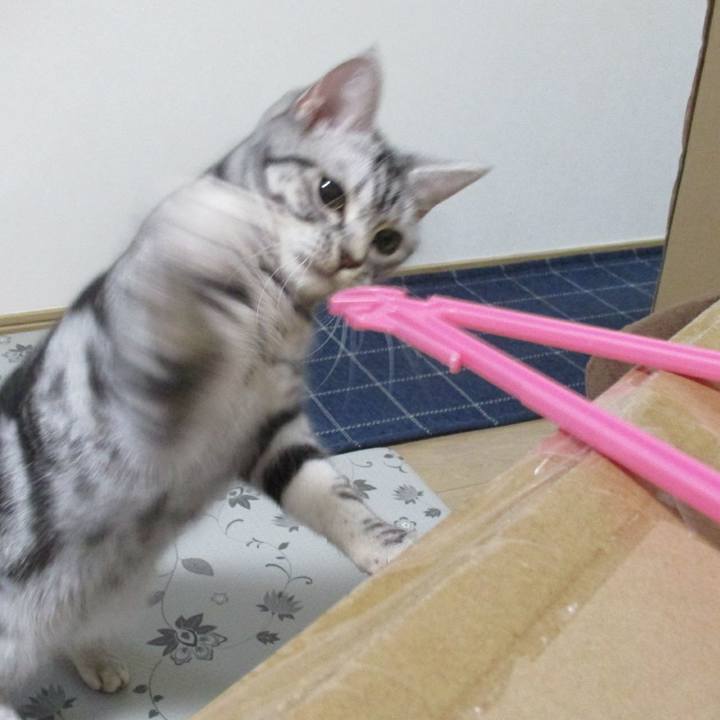 9ba59ba1 40e9 4ec8 91f4 d87aa20746c9 1549535988883