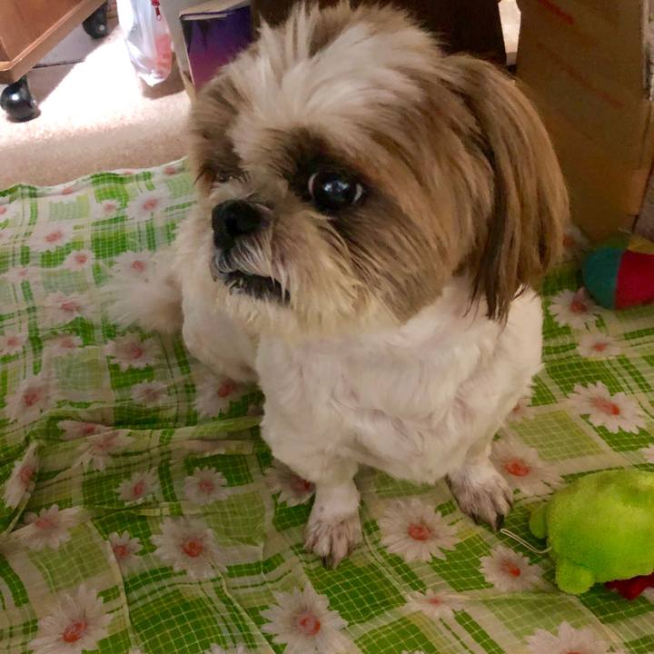 9ba5b07e 20ff 4c7f b135 b83f9d1e91c6 1561767571903