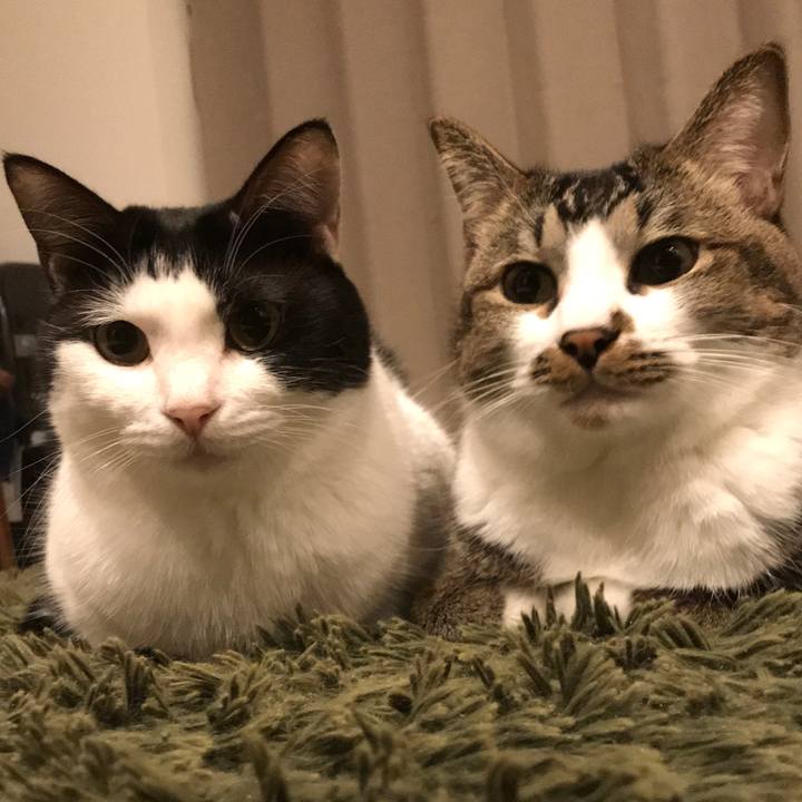 9ba5da09 e181 47e5 aadd d93e2cd380f4 1545396192211