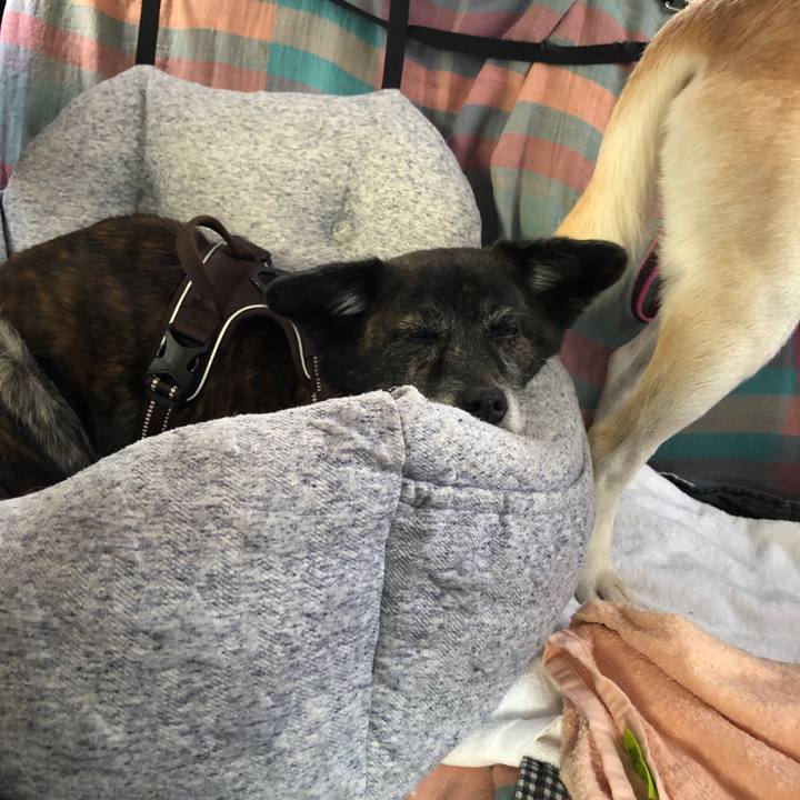 9ba5df67 8f64 4755 99b5 2812a2f434e1 1628643944451