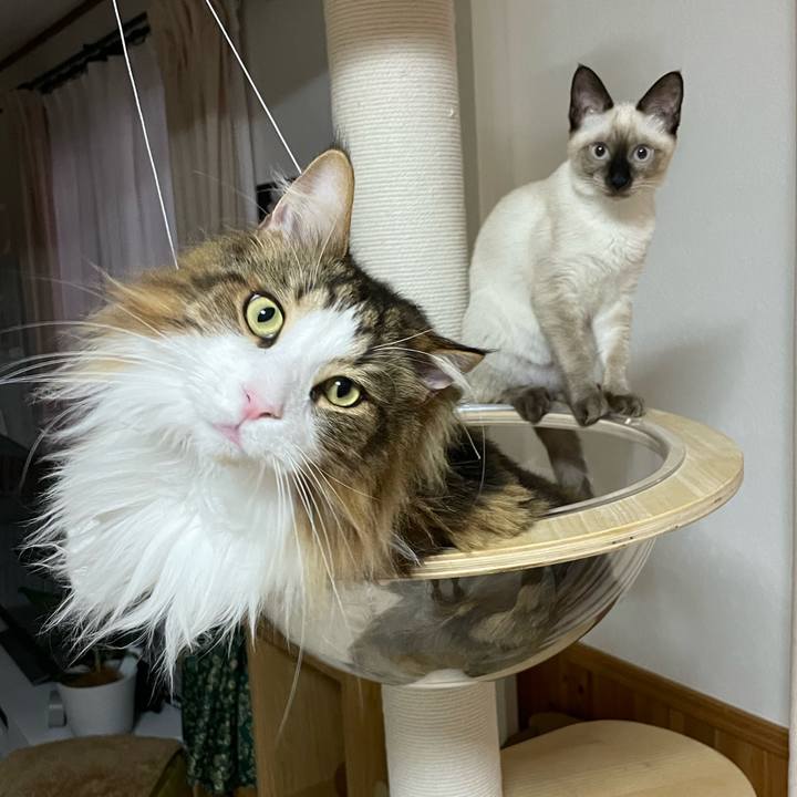 9ba60c65 65a5 45b0 92cf 721ecaefde73 1693252411680