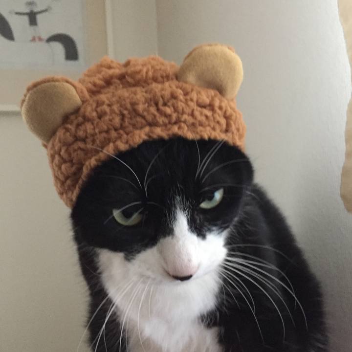 9ba64422 50e1 459c 9823 ea840a866cf1 1515334572380