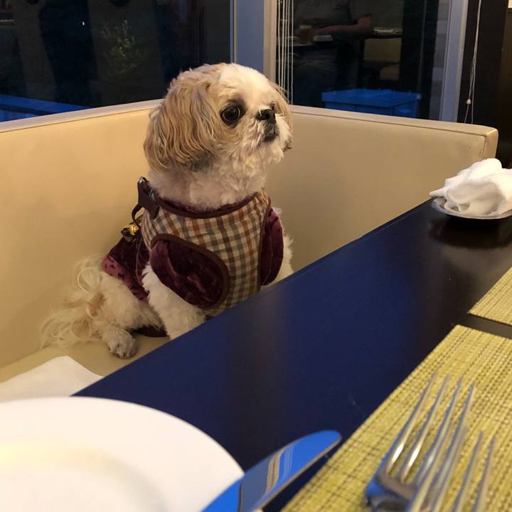 9ba678ab 795d 4ca8 8255 fb8f8fc3b6a6 1537134567650