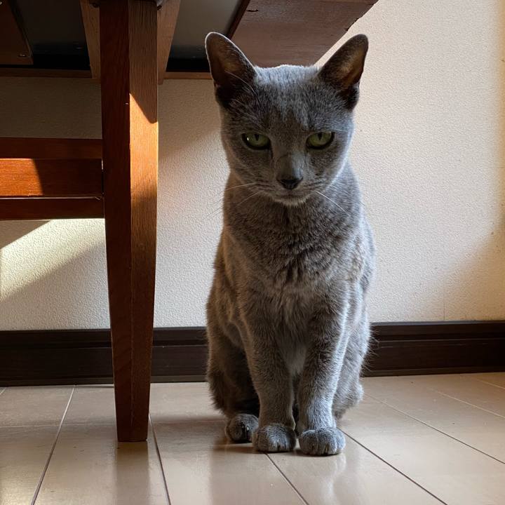 9ba68858 a619 4108 98c9 968fe0be45ec 1581400106219