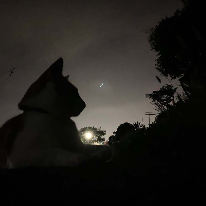 9ba6d5fb 1f93 438b b668 69dba580c781 1569585554580