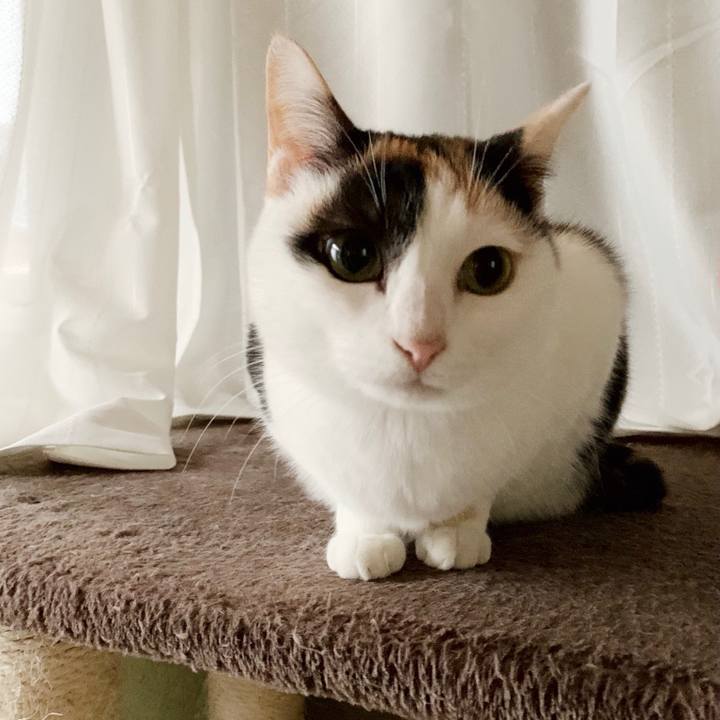 9ba6f4cb 025a 42f8 97cf 63036b9b00af 1550974393111