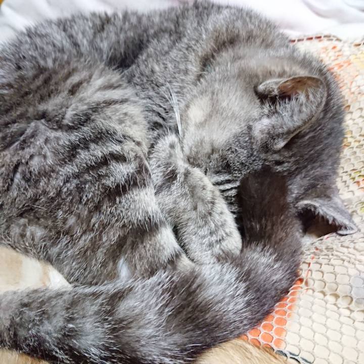 9ba703f9 b248 4e1b a045 1ca6493298d4 1572872042242