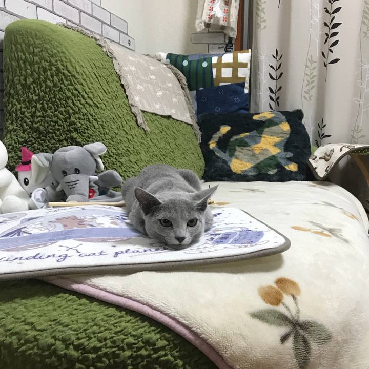 9ba707aa f88c 4be4 a199 8574e4061a89 1511958817803