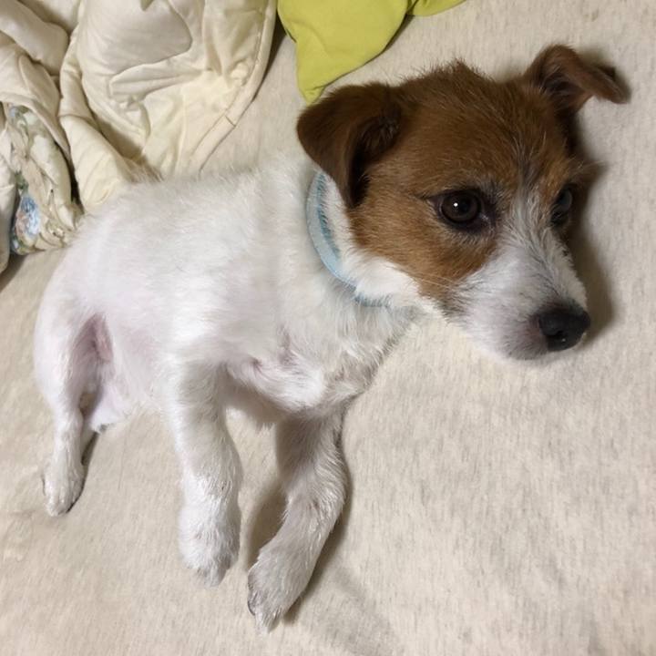 9ba72e07 c17c 41b1 97e9 c3dde4f6ac37 1559390688237