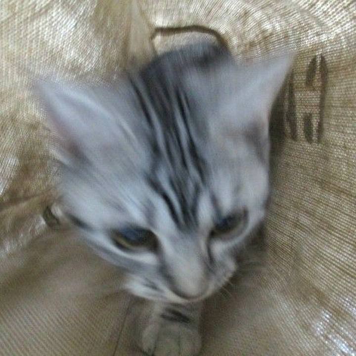 9ba75aa6 d806 4517 a712 da6ff32e7420 1539298288134