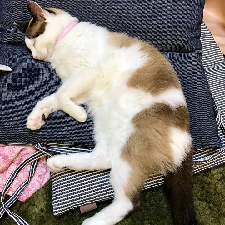 9ba79737 73ef 4983 8558 5a54f6a68e93 1532178128739