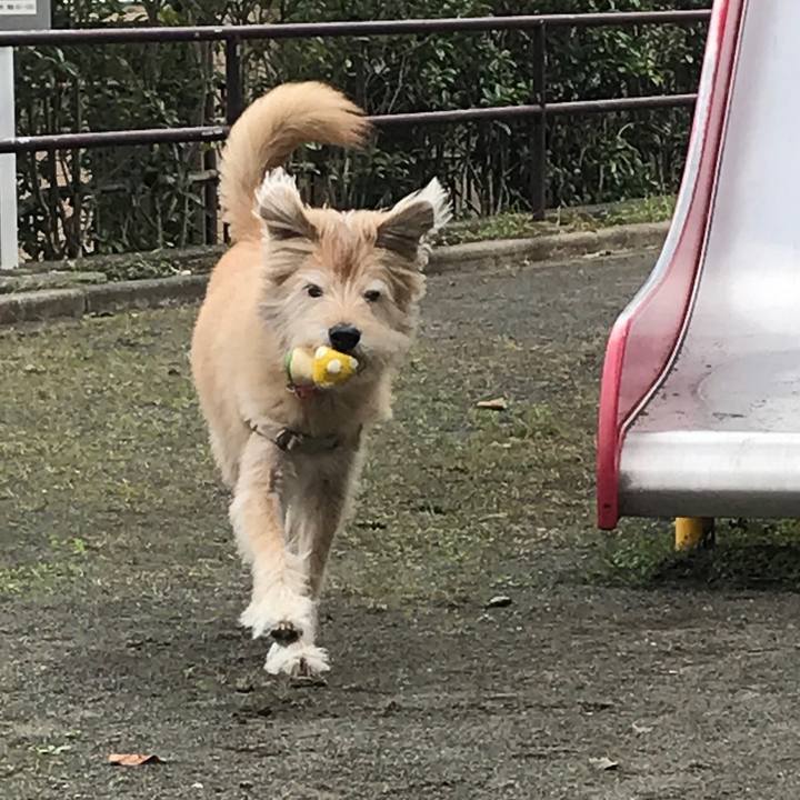 9ba7aa4d 8ba5 4786 9b37 7a8029613046 1604675844897