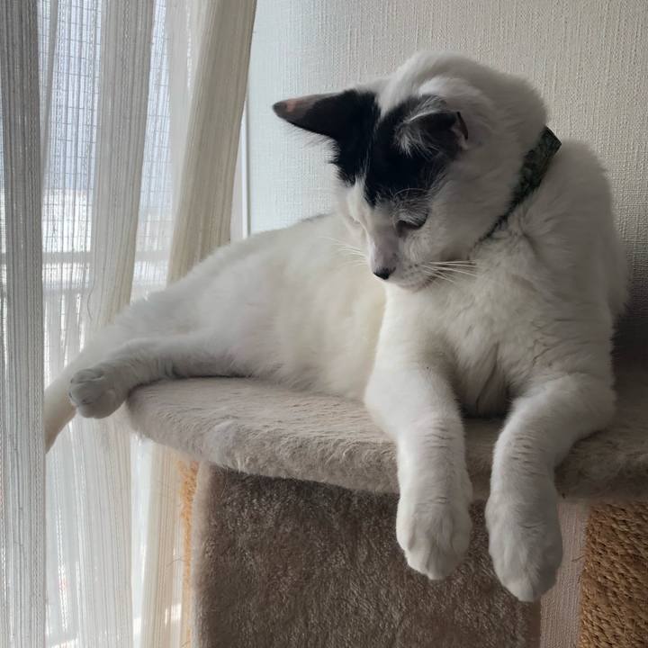 9ba7c8b4 4449 4b87 8a6c 8c1d23827e44 1562283172786