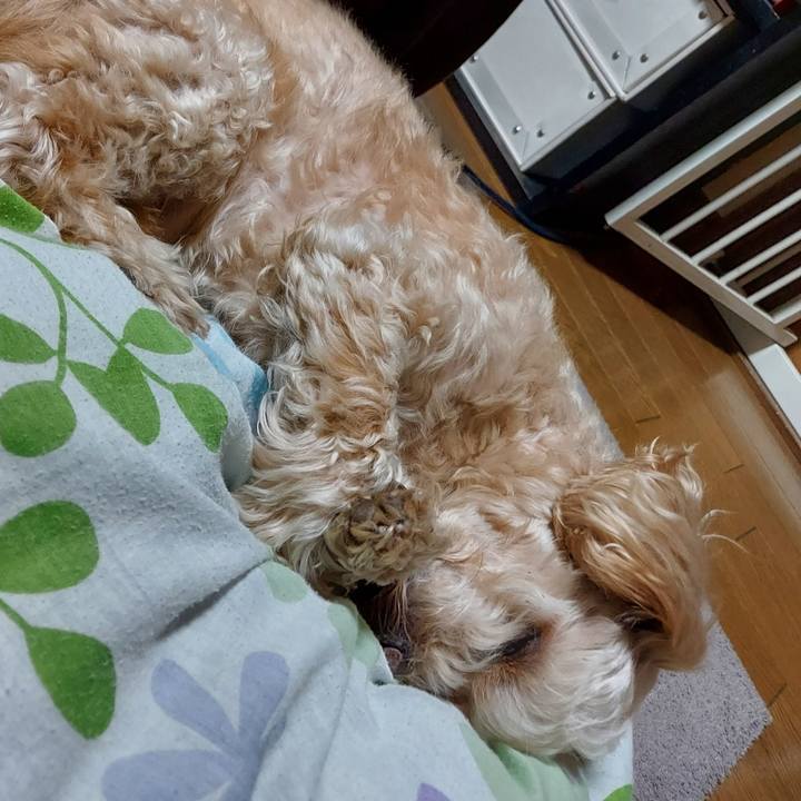 9ba7e0dc 4245 4636 bea2 682030f1f529 1676631823590