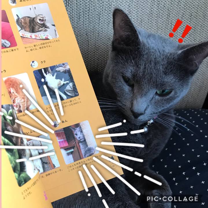 9ba7fbd0 c8e8 4afa b0f9 c28fdc5eda32 1556176113881