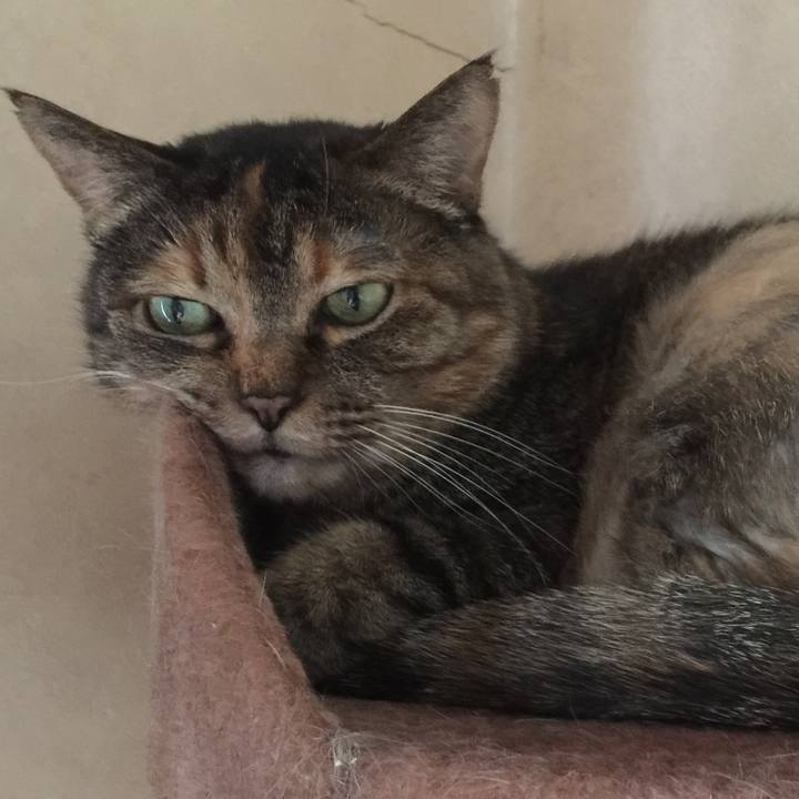 9ba82a82 92c1 4a1e 8965 56834605e3da 1549950736135