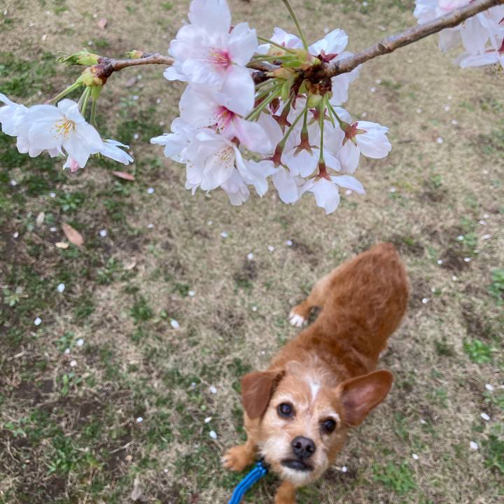 9ba84d2b 7891 4163 a0f7 28160c947a7b 1616584585923