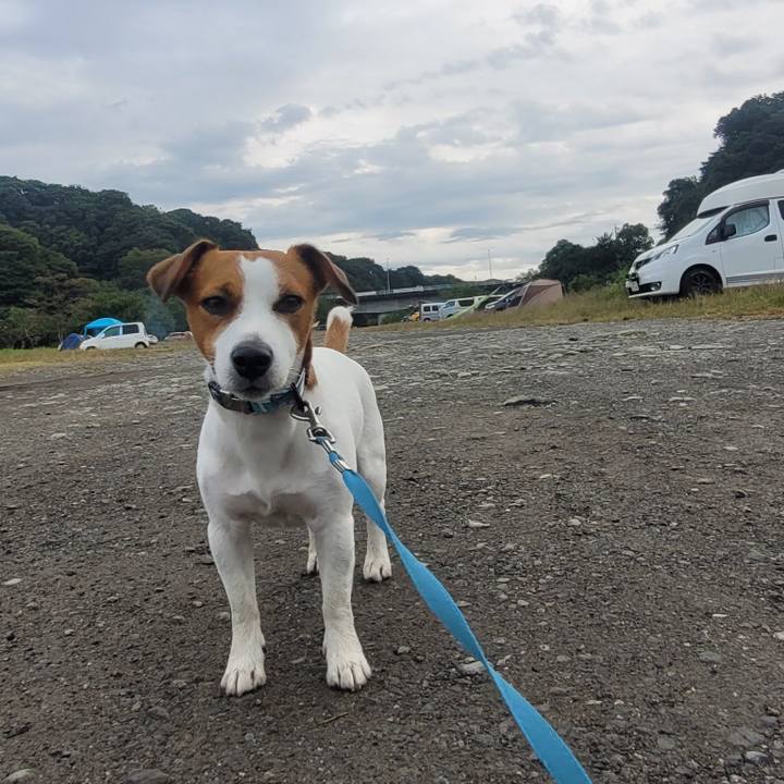 9ba85896 e2c9 44ae 98a3 76edfc77b7af 1665528942148