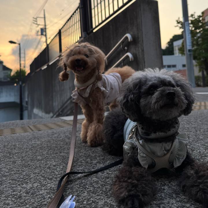 9ba8653d 4d3d 4866 895b 18d943106e29 1756681971919