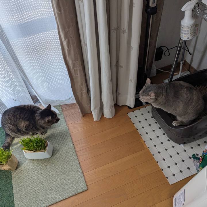 9ba86e2d d540 499a 8938 88ab5b1bf38d 1772870566785