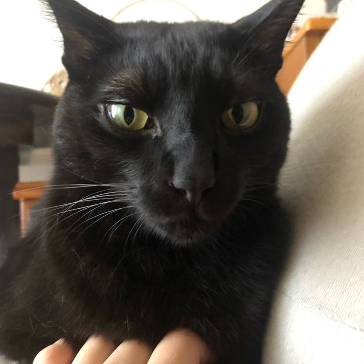 9ba87aa5 fe40 48db a574 6610d87bf28b 1570333983787