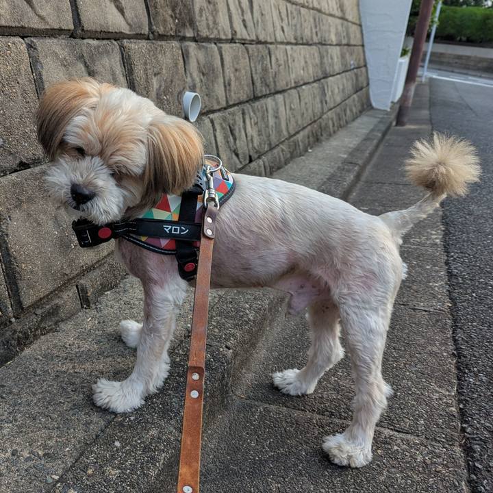 9ba88645 f58a 48cd 940a 3111721cc7e3 1748387760303