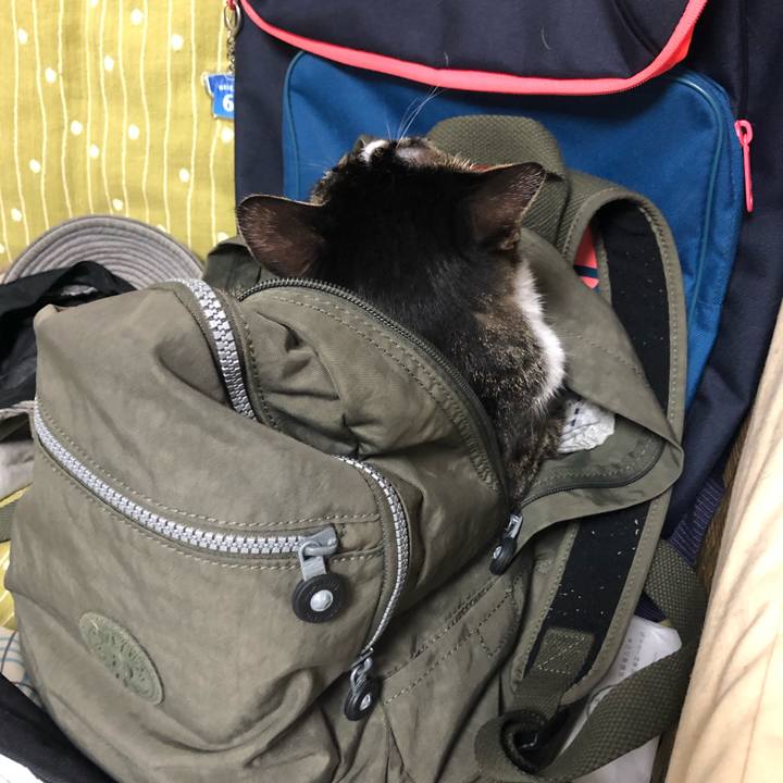 9ba88839 2a4e 422a 815a f3422c8d4d0f 1568438634559