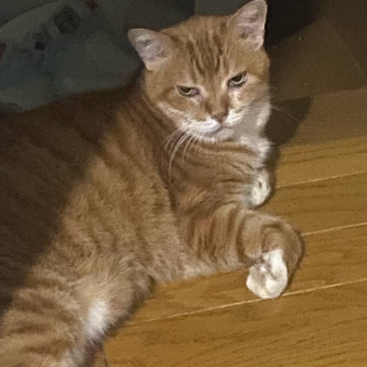 9ba88839 6595 4787 8451 c08bd9a6c46e 1725378023920