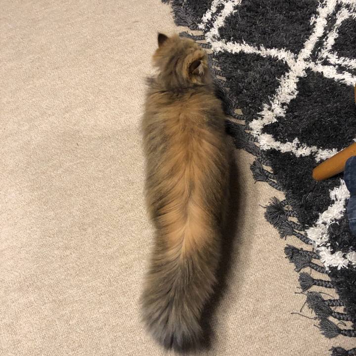 9ba890de 585d 4a4f b701 2efa2ee67b52 1618228936258