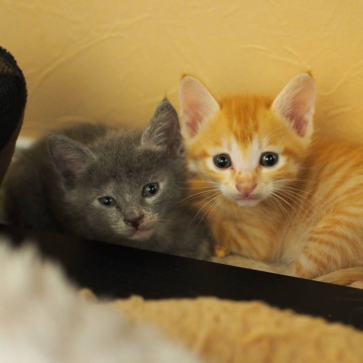 9ba8a619 0895 4848 9d58 4e8f4764a01f 1570250271273