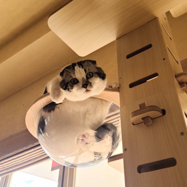 9ba8aa7d 9099 4cab 9d7d d3d40614f2aa 1642039407596