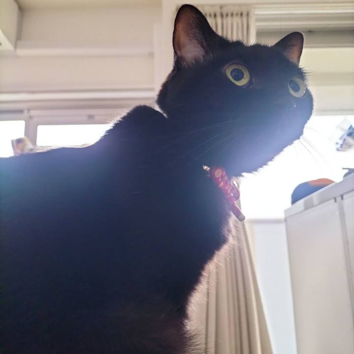 9ba8b866 c463 47b3 990a 137d14349871 1687989889079