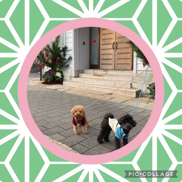 9ba8b99e 380e 48ca 9b10 197dceab714b 1672457212253