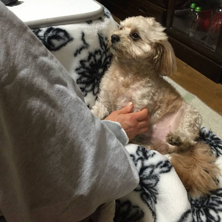 9ba91628 bdd8 4980 af62 339c851510b0 1543325272668