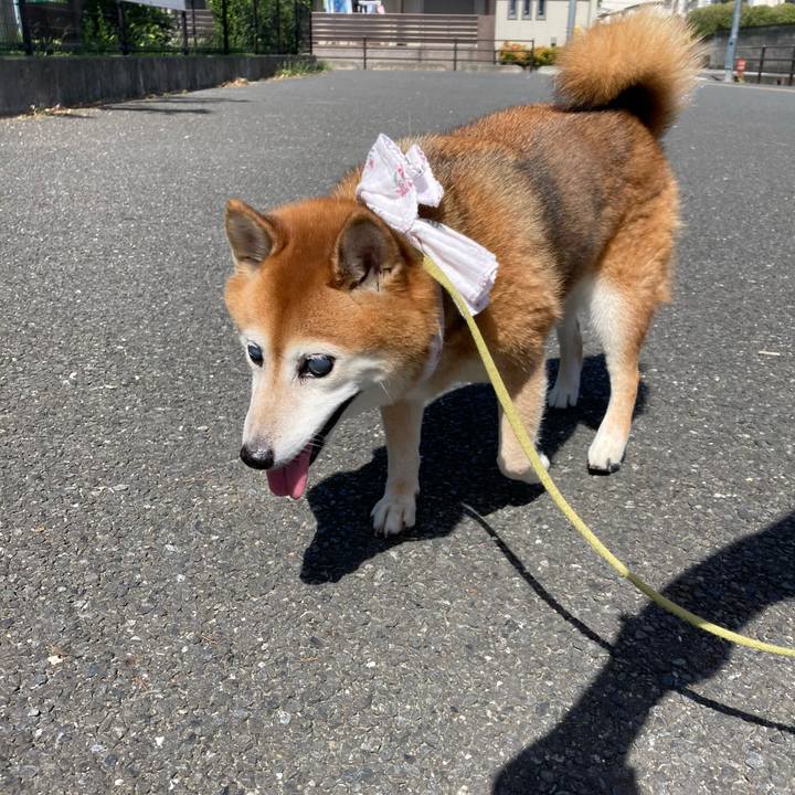 9ba9220f bbb2 466b 8d76 1e61eba3995d 1693455202951