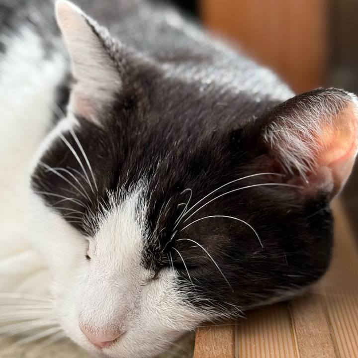 9baa4ec7 060d 490f 8abe 2af31551d9de 1732931469851