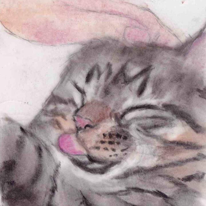 9baa8a9f 027b 4efe ace4 aa3d9cb9616d 1648191035563