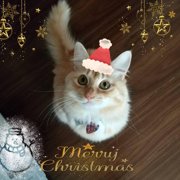 9baaa00d 96ec 4d54 93c9 860ec2f109c6 1640337215648