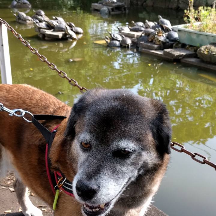 9baabbcf 69e6 41ec bc93 b1bc0459983c 1526260147745