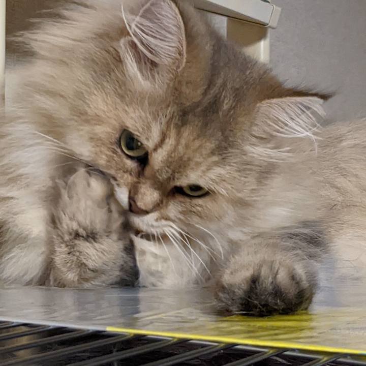 9baae00f 8e56 4a6d a793 68092d07dea4 1663247185286